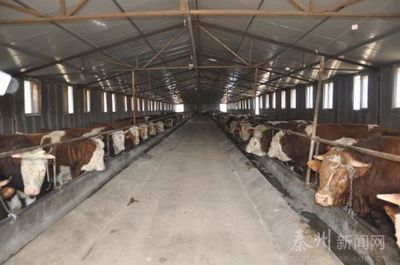 聚力精准扶贫 秦州发展畜牧养殖助力农民增收与牧场工程设计