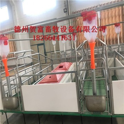 养殖定位栏与贺富设备厂 畜牧设备技术的创新与发展