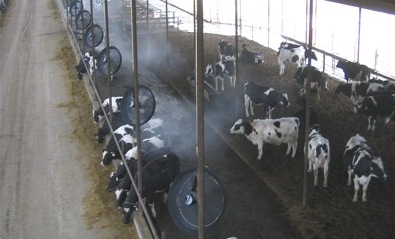 现代畜牧场综合喷雾系统 降温、消毒与除臭的技术革新与应用